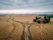 Χωματόδρομος που διχάζεται μέσα σε χωράφι με στάχυα: το ένα σκέλος οδηγεί σε αγροτόσπιτο και το άλλο χάνεται στον ορίζοντα