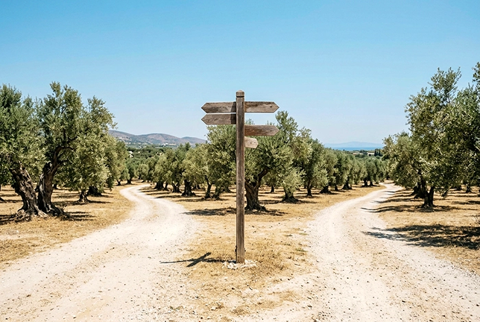 Ξύλινη πινακίδα χωρίς κείμενο σε διχάλα χωματόδρομου μέσα σε ελαιώνα, εικόνα της επιλογής του δρόμου που θα πάρει η συζήτηση με τον θεραπευτή.