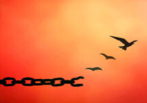 correntes-passaros-2